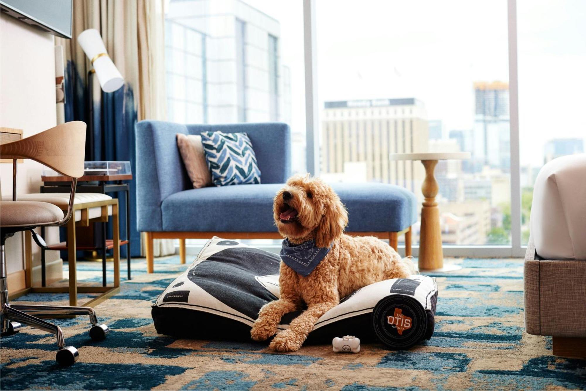The Otis Hotel Austin, Autograph Collection Экстерьер фото